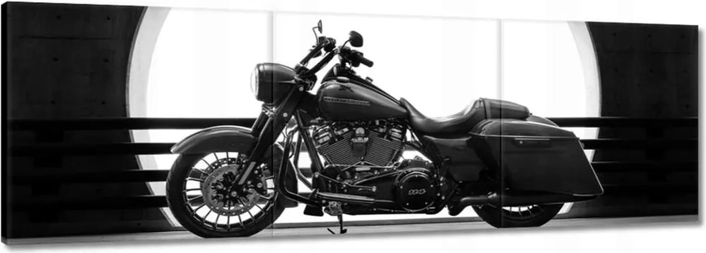 Képek 150x50 Harley Davidson Motorkerékpár