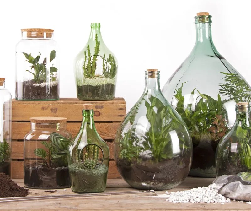 Florárium eszközökkel, 35 literes