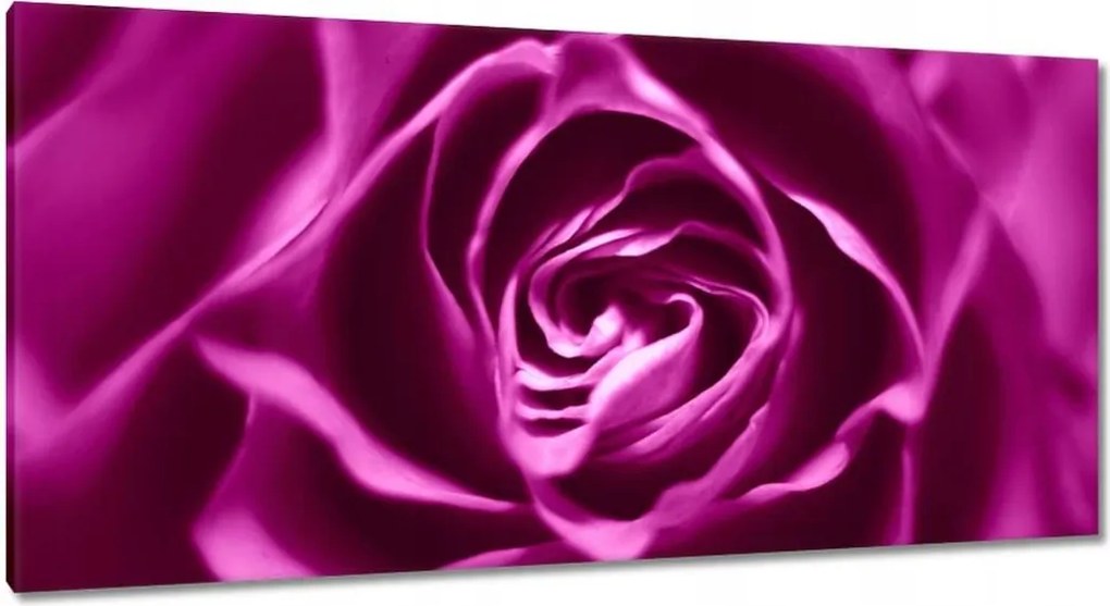 Vászonkép 115x55 Lila rózsa Makrofotó