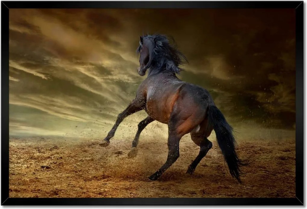 Poszterek keretben 60x40 Ló