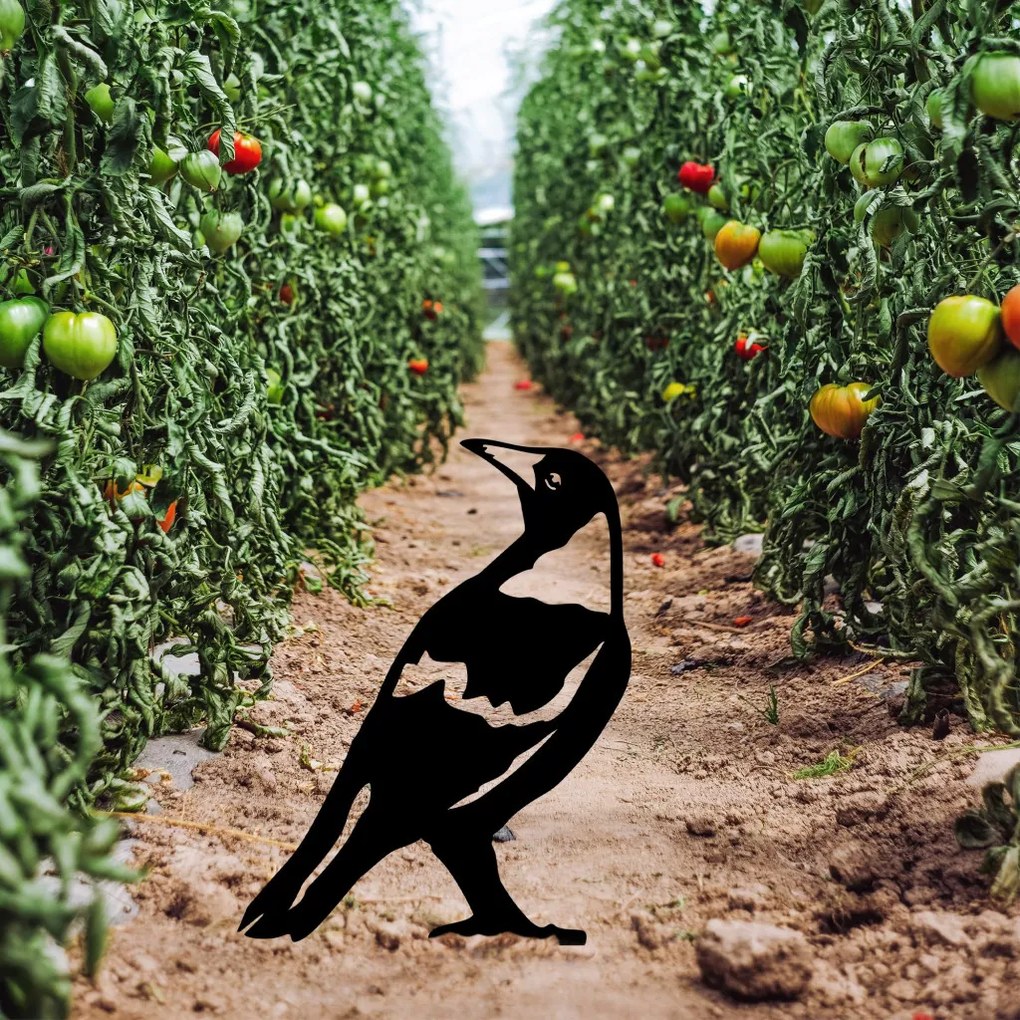 Bird fém kerti dísztárgy, 50×27 cm – TR565TNL1268