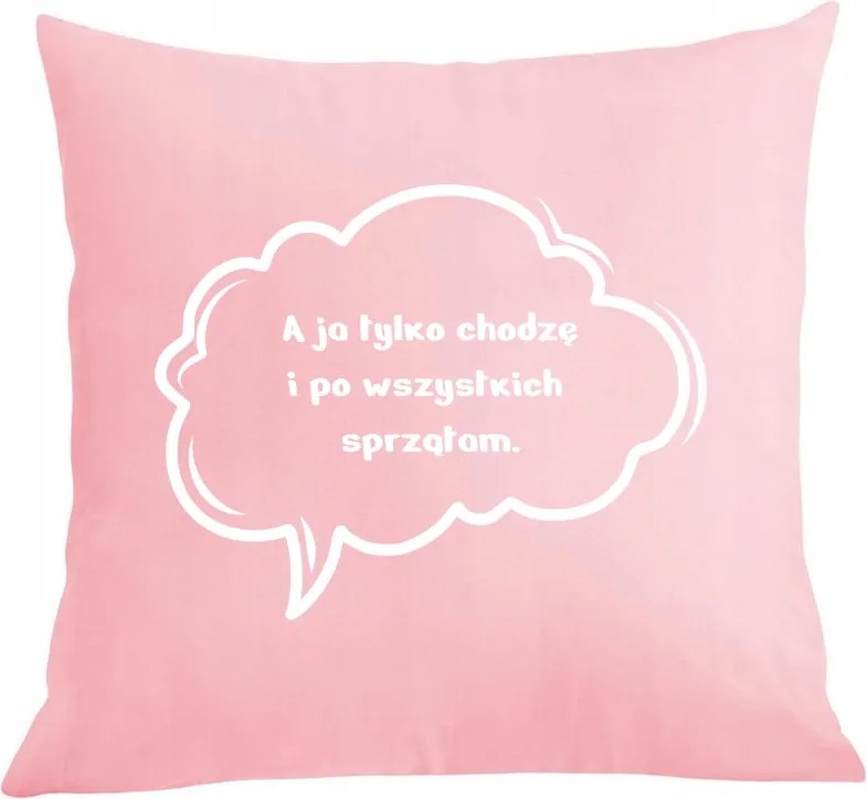 Párna párnahuzat Mindenkit takarítok