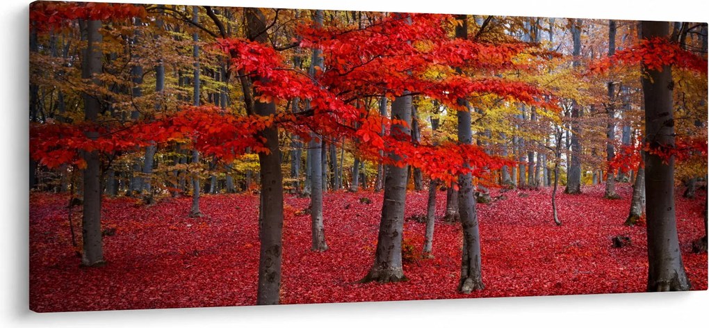 Kép - vörös erdő (120x50 cm)