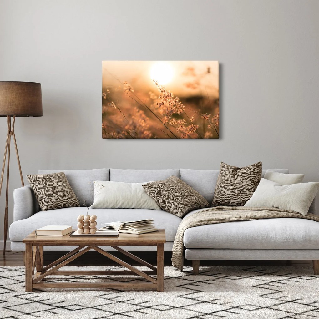 Kép - Fű a napon (90x60 cm)
