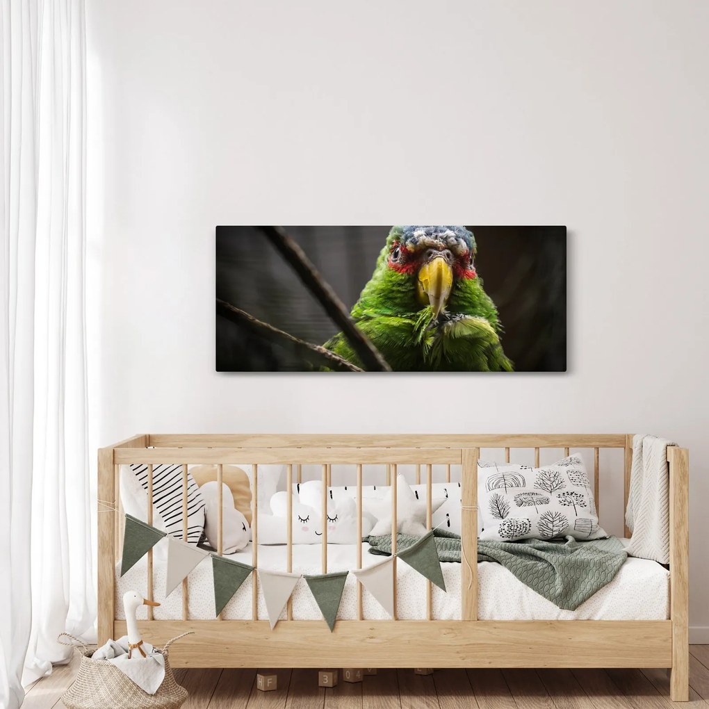 Papagáj képe (120x50 cm)