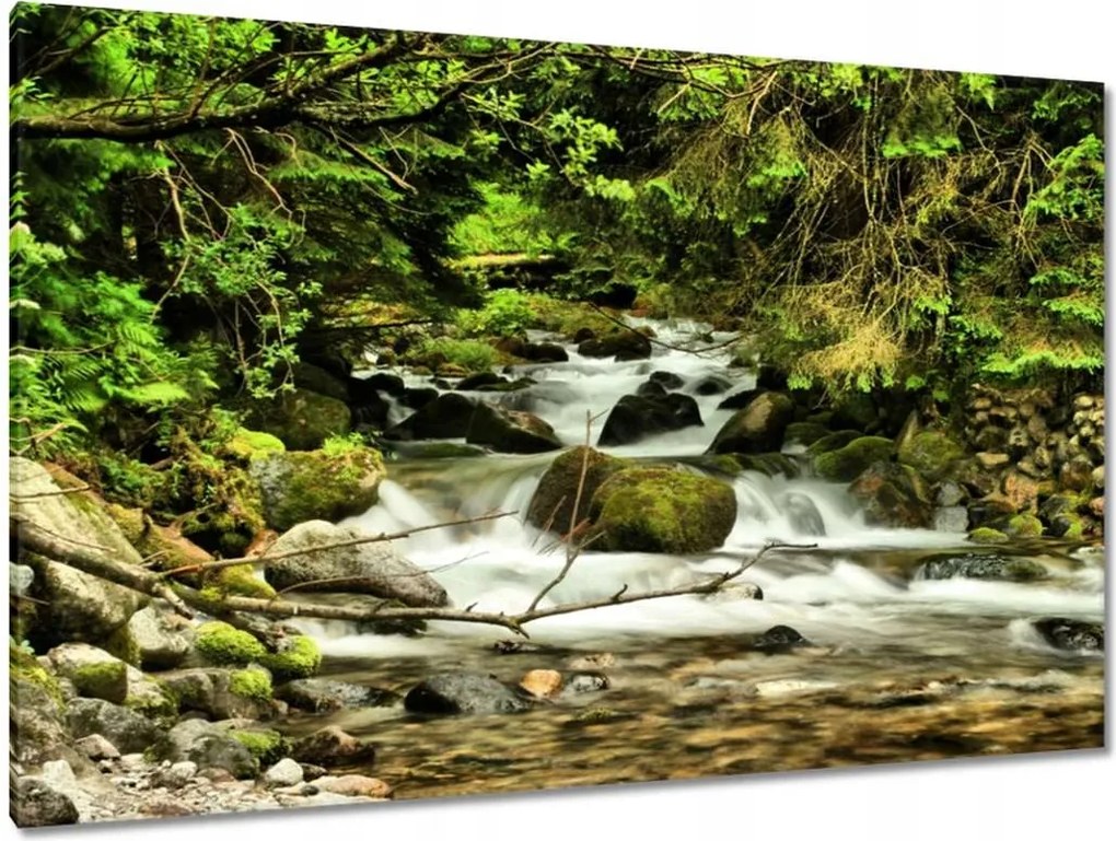 Festmények 120x80 Patak a hegyekben