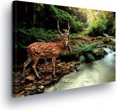 Vászonkép 100x75 Szarvas erdő patak természet vadállat nyugalom szépség