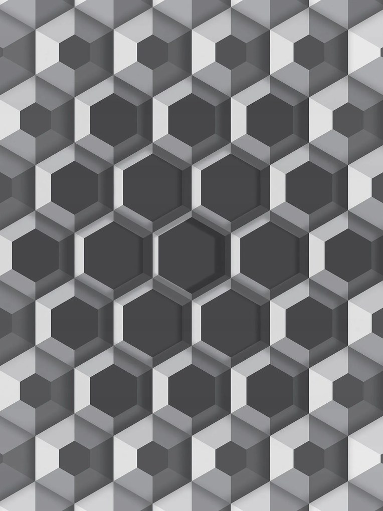 Flizelin fotótapéta Hatszögletű szürke geometria absztrakt 206x275 +ragasztó