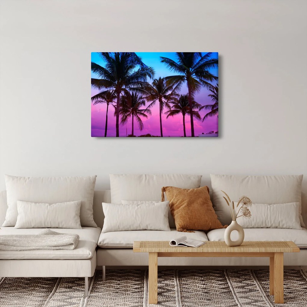 Kép - Pálmafák Miamiban (90x60 cm)