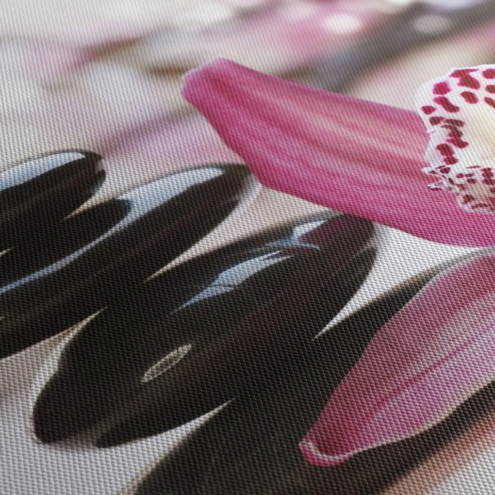 Masszázs kövek és orchideák képe (120x50 cm)