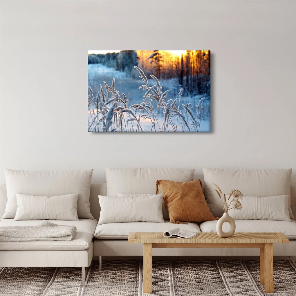 Kép - Téli rét (90x60 cm)