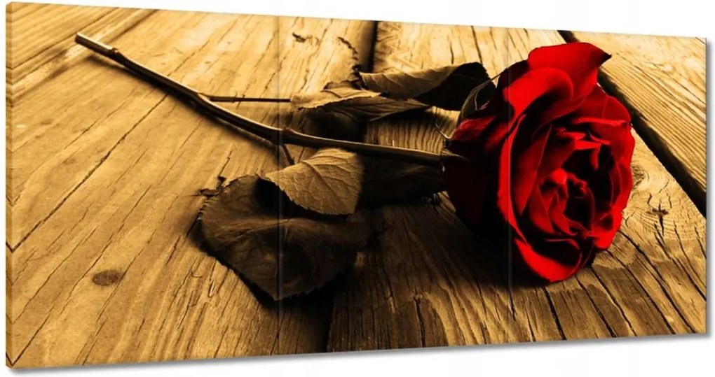 Vászonkép 60x30 Rózsa szépia deszkákon