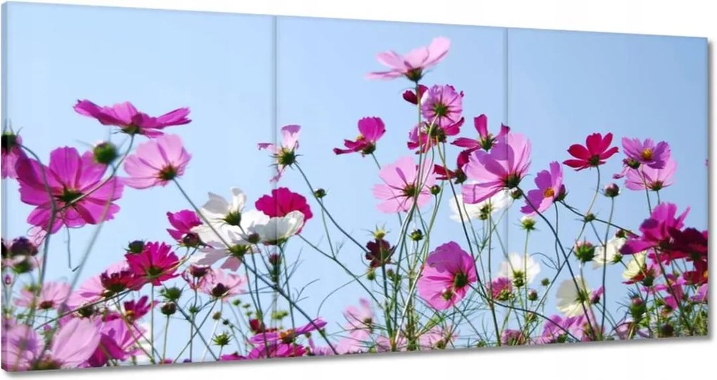 Vászonkép 180x90 Rét virágokkal