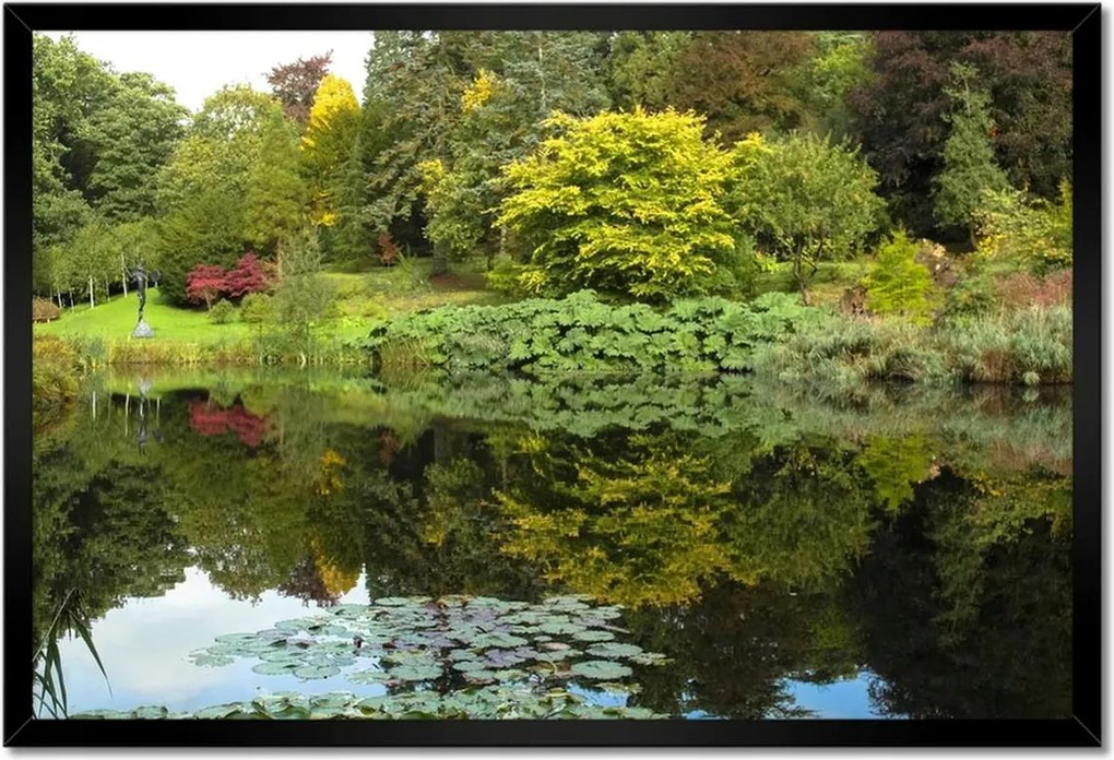 Poszterek keretben 60x40 Park tükröződés