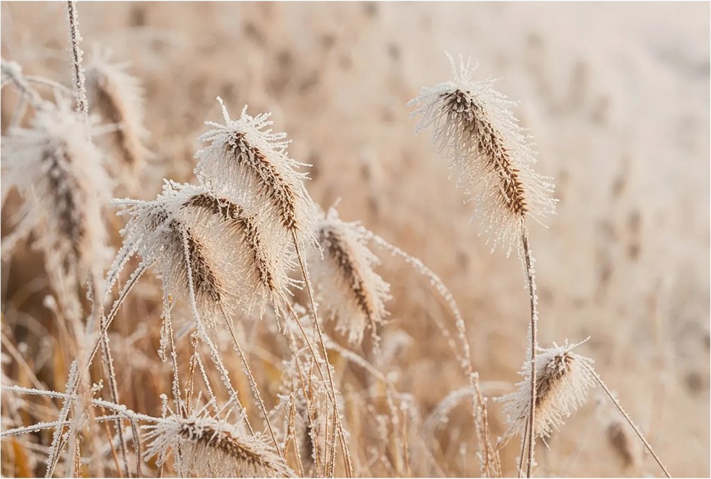 Flizelin tapéta Divatos 3D fali ragasztó Téli tájkép 104x70 Ragasztó