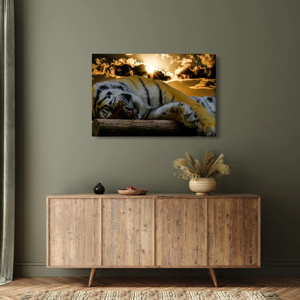 Alvó tigris képe (90x60 cm)