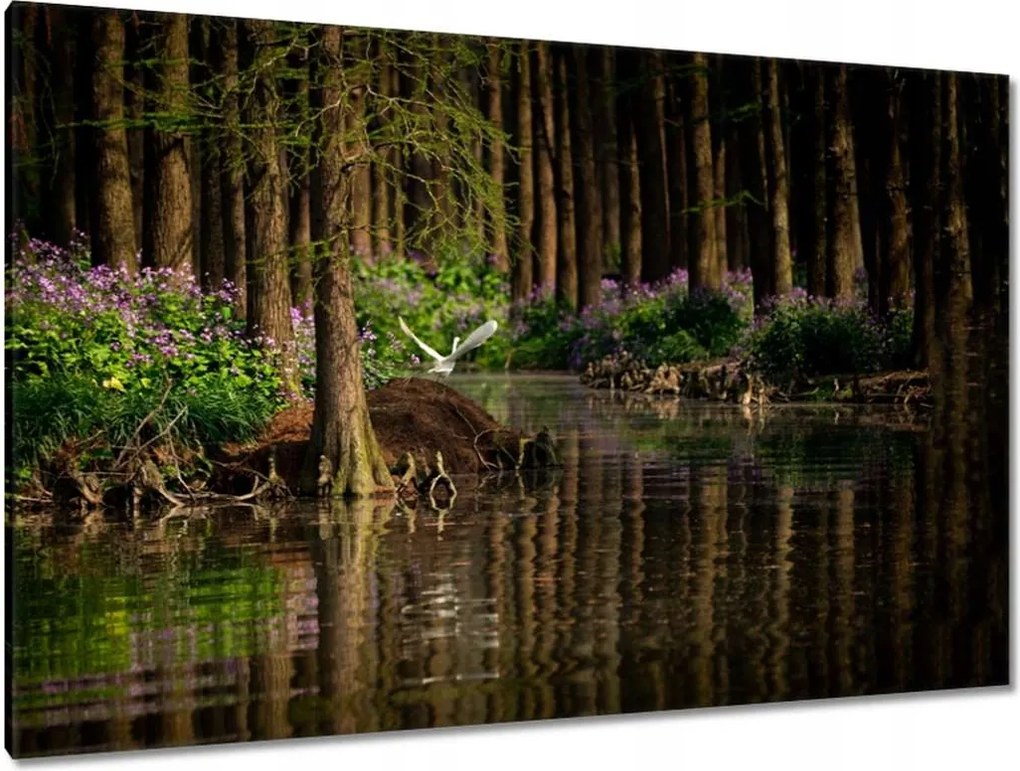 Festmények 120x80 Tájkép Látvány