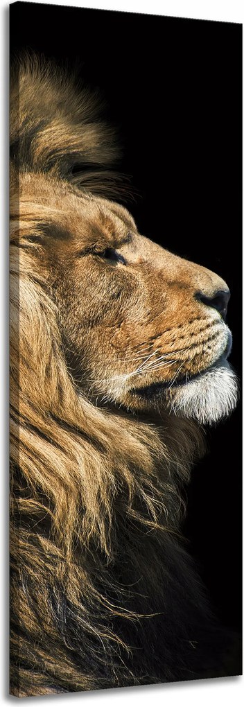 Vászonkép Oroszlán portré Oldal Vadság Természet 40x120 cm