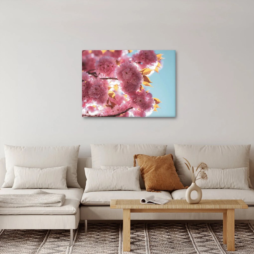 Kép - Cseresznyevirág (70x50 cm)