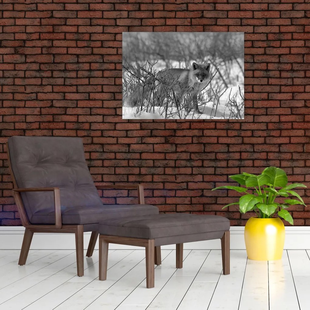 Üveg kép - Róka télen (70x50 cm)