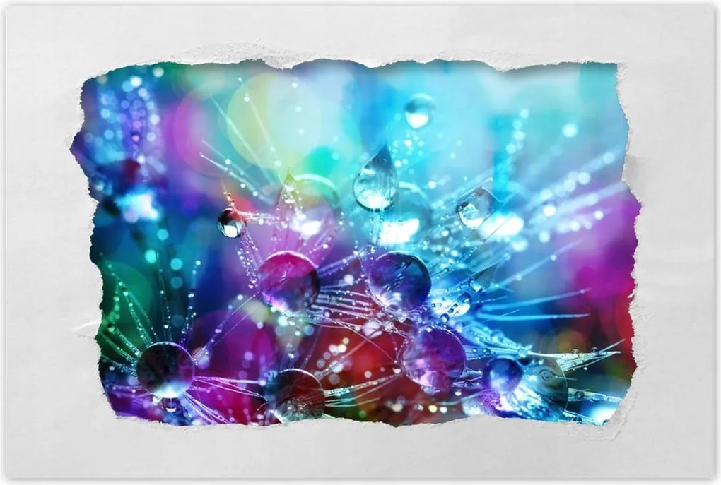 Poszterek 60x40 Pitypang pitypang