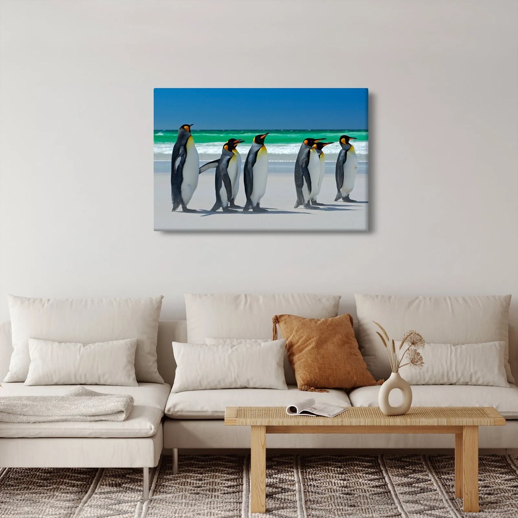 Kép - A Királyi pingvinek csoportja (90x60 cm)
