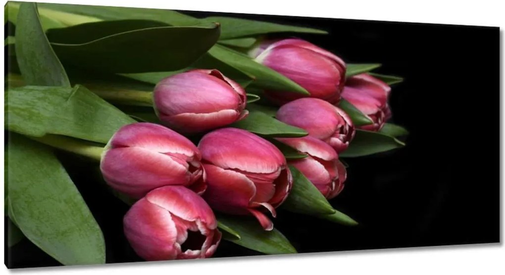Vászonkép 115x55 Zamatos tulipánok