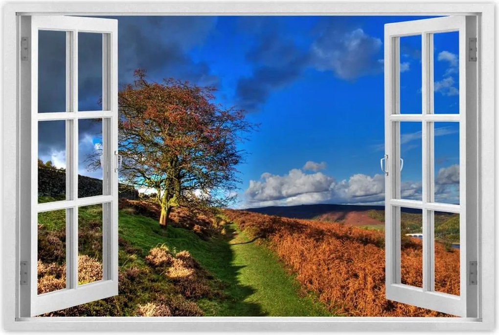 Poszterek 60x40 Fa a kilátásban