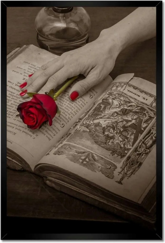 Poszterek keretben 40x60 Vörös rózsa a könyvön