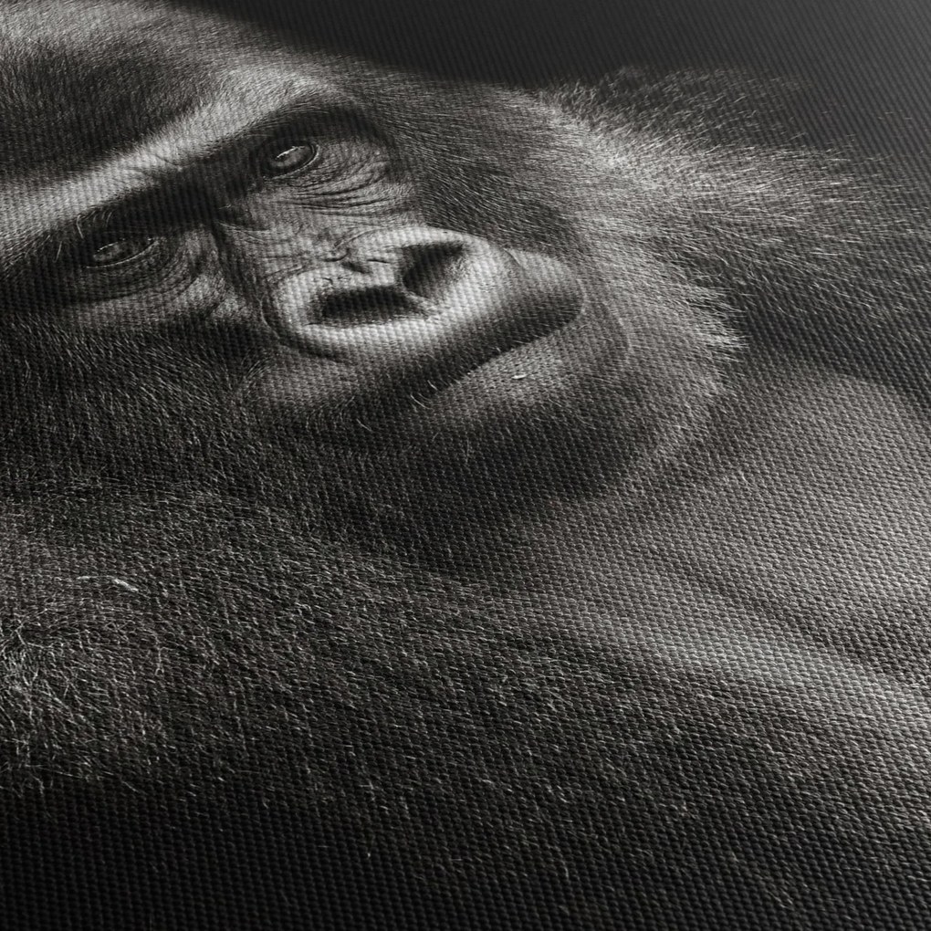 Kép - Gorilla (90x60 cm)