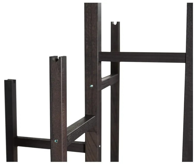 Eigen szürke fogos - Woodman