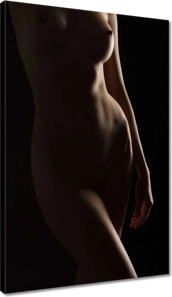 Vászonkép 40x60 Természetes szépség Érzéki éjszakai tekintet