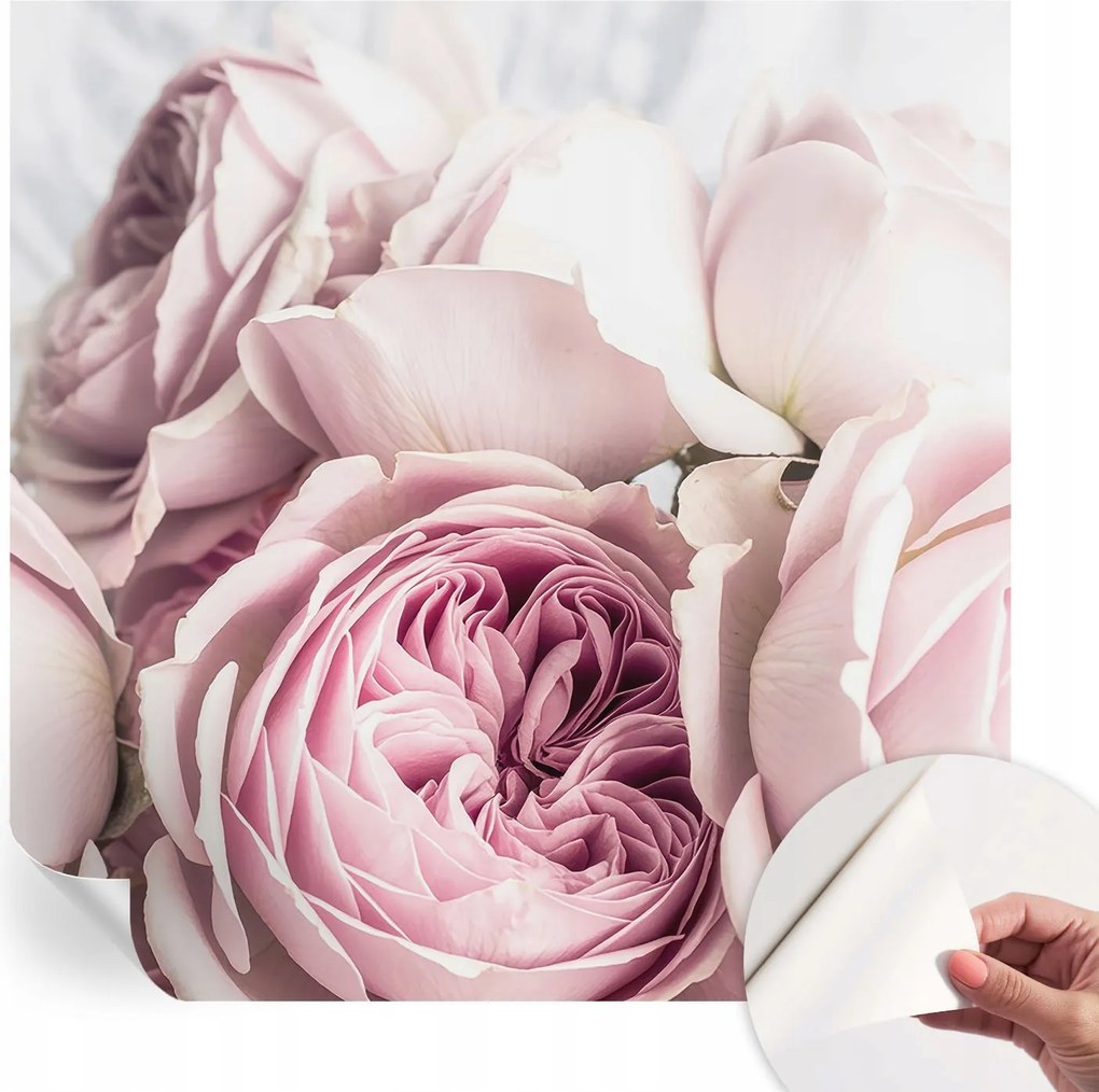 Öntapadós Dekoratív Fotótapéta Hálószobába Rózsaszín rózsák 250x250 cm