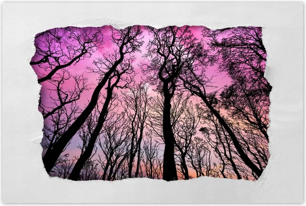 Poszterek 60x40 Tájkép Látvány