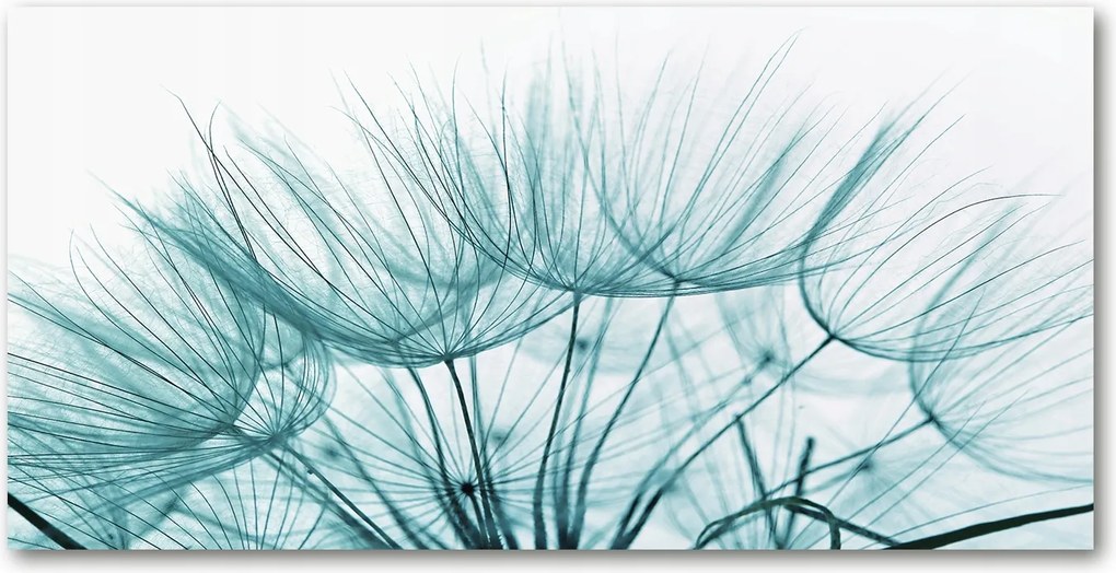 Konyhai panel Pitypang mag 120x60 cm Ragasztó