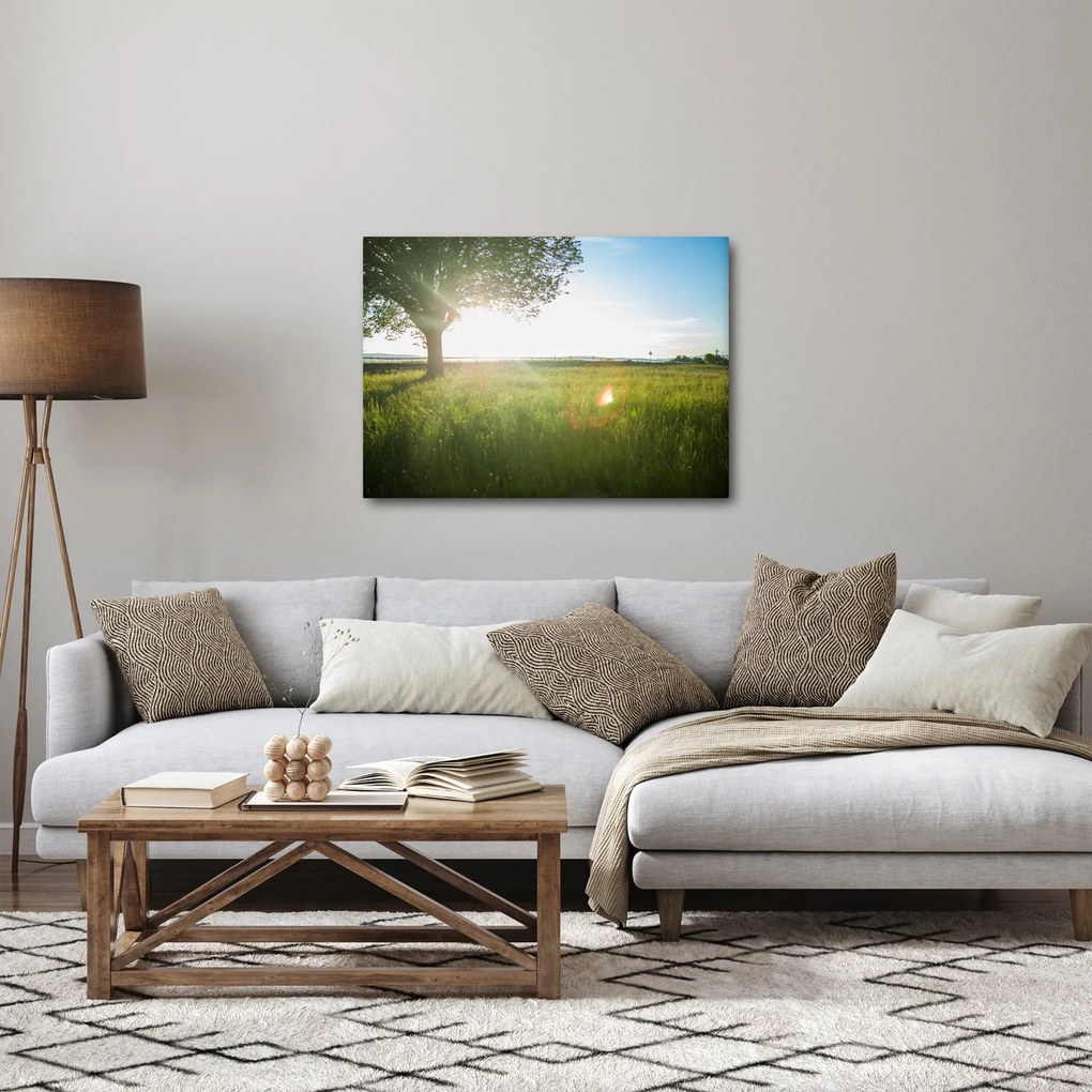 Egy fa képe a mezőn (70x50 cm)