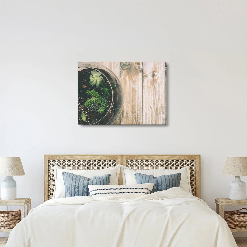A pozsgás növények képe üvegben (70x50 cm)