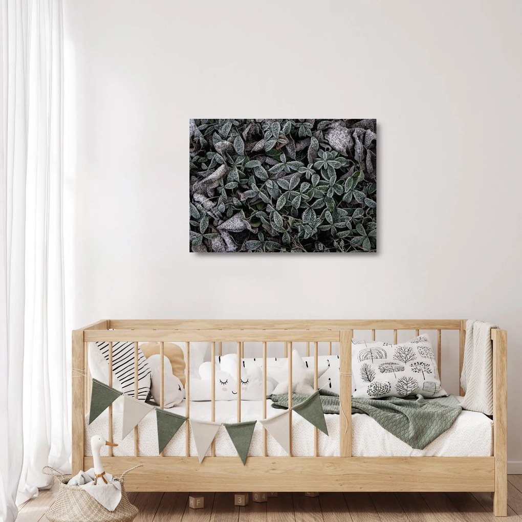 Üveg kép - Fagyasztott növények (70x50 cm)