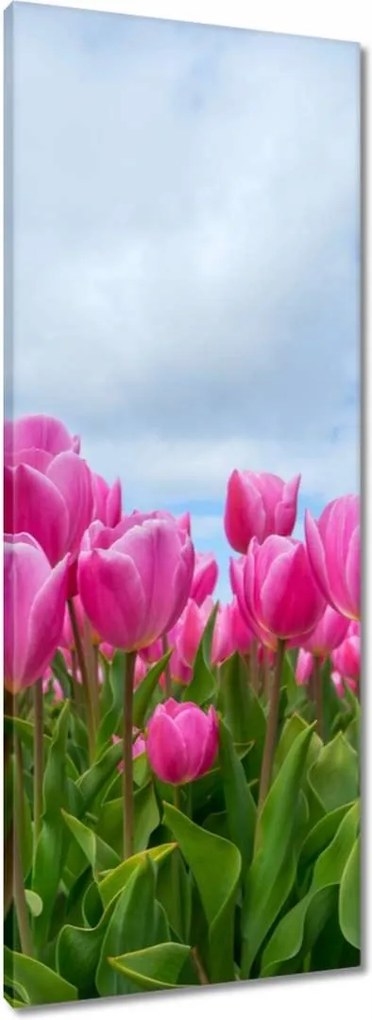 Vászonkép 40x100 Tulipánok Virágok