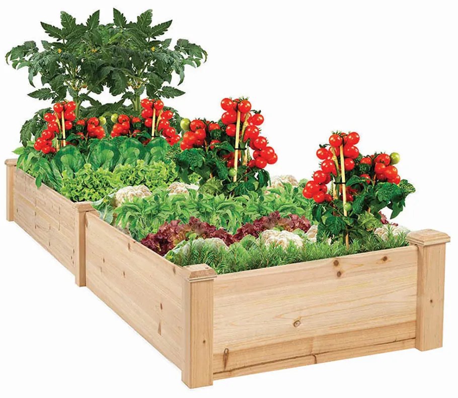 Két rekeszes fa palántázó