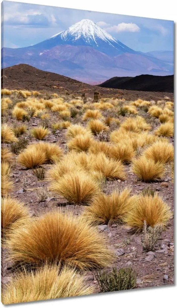 Festmények 80x120 Tájképek Kilátások Tájképek