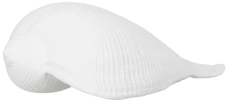 Poligyanta szobor (magasság 5 cm) Seashell – Ixia