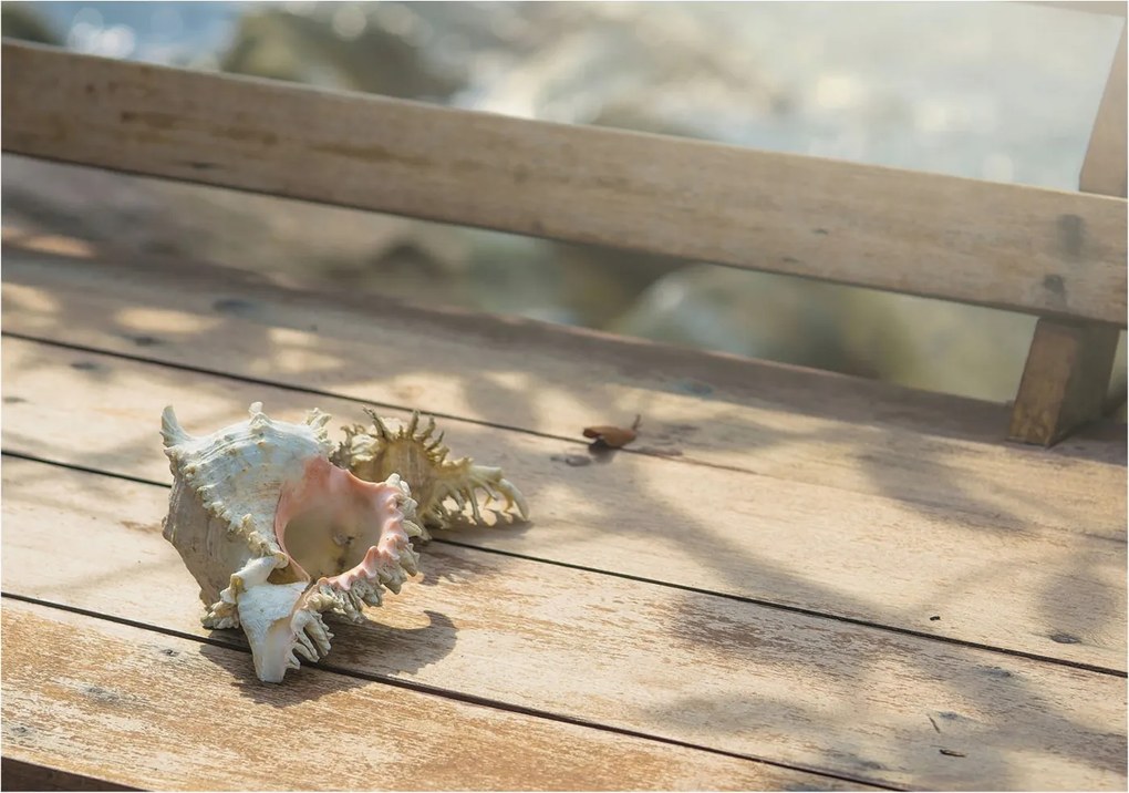 Fotótapéta Flizelina Dekoratív az irodába Relaxáló jelenet 208x146 Ragasztó