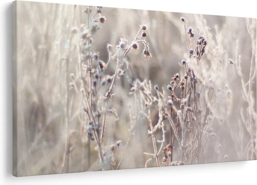 Kép - Növény (90x60 cm)