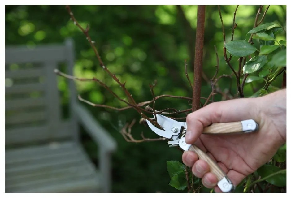 Pond többfunkciós kőrisfa metszőolló - Esschert Design
