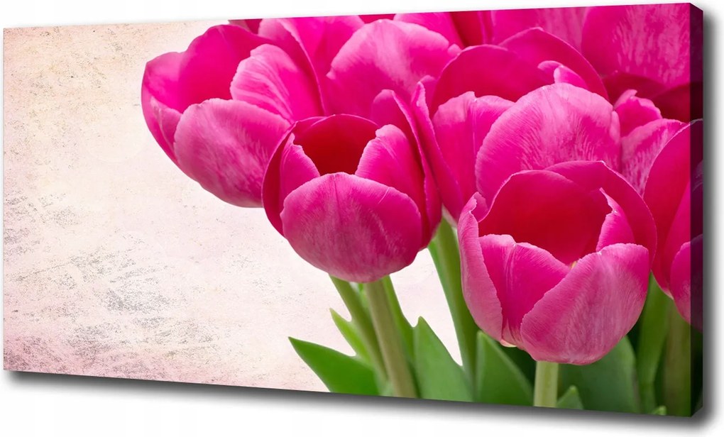 Vászonkép Rózsaszín tulipánok 120x60 cm