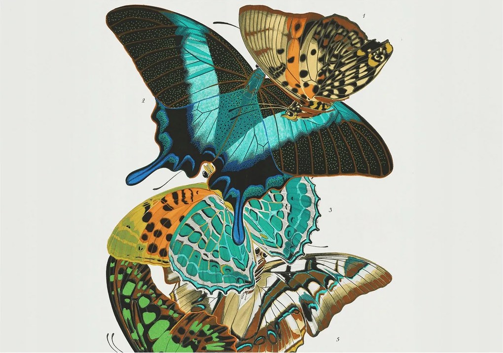 Dekoratív fotótapéta falra Könnyű összeszerelés Színes pillangók 208x146 Ragasztó