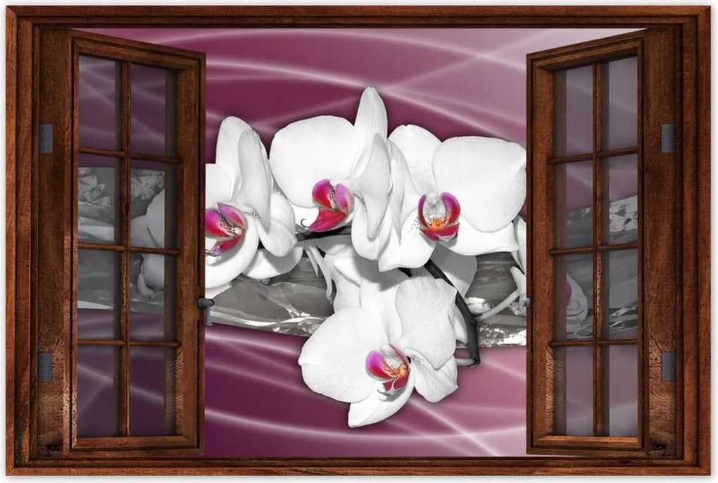 Poszterek 90x60 Orchideák