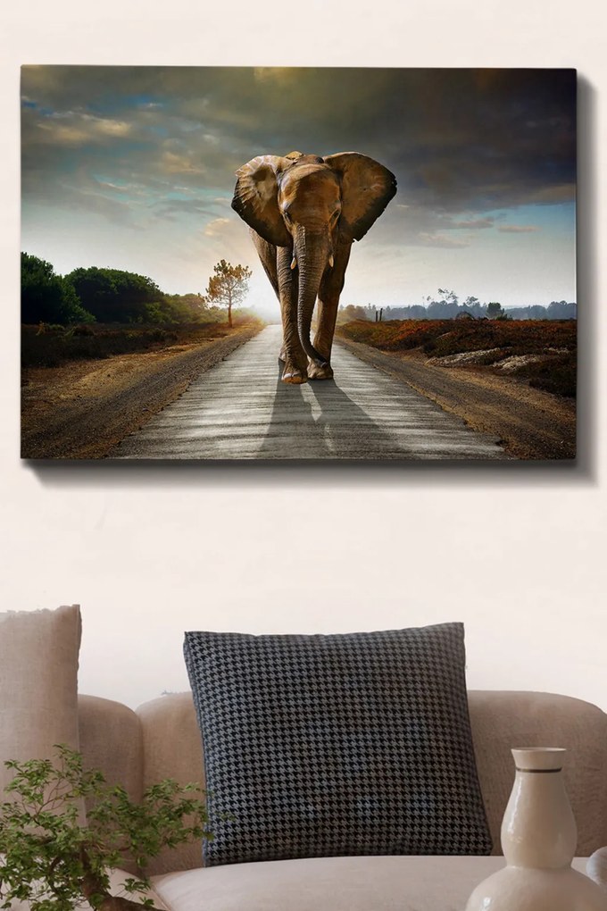 Kanvas vászonkép, 70×100 cm – TR529TCR1570