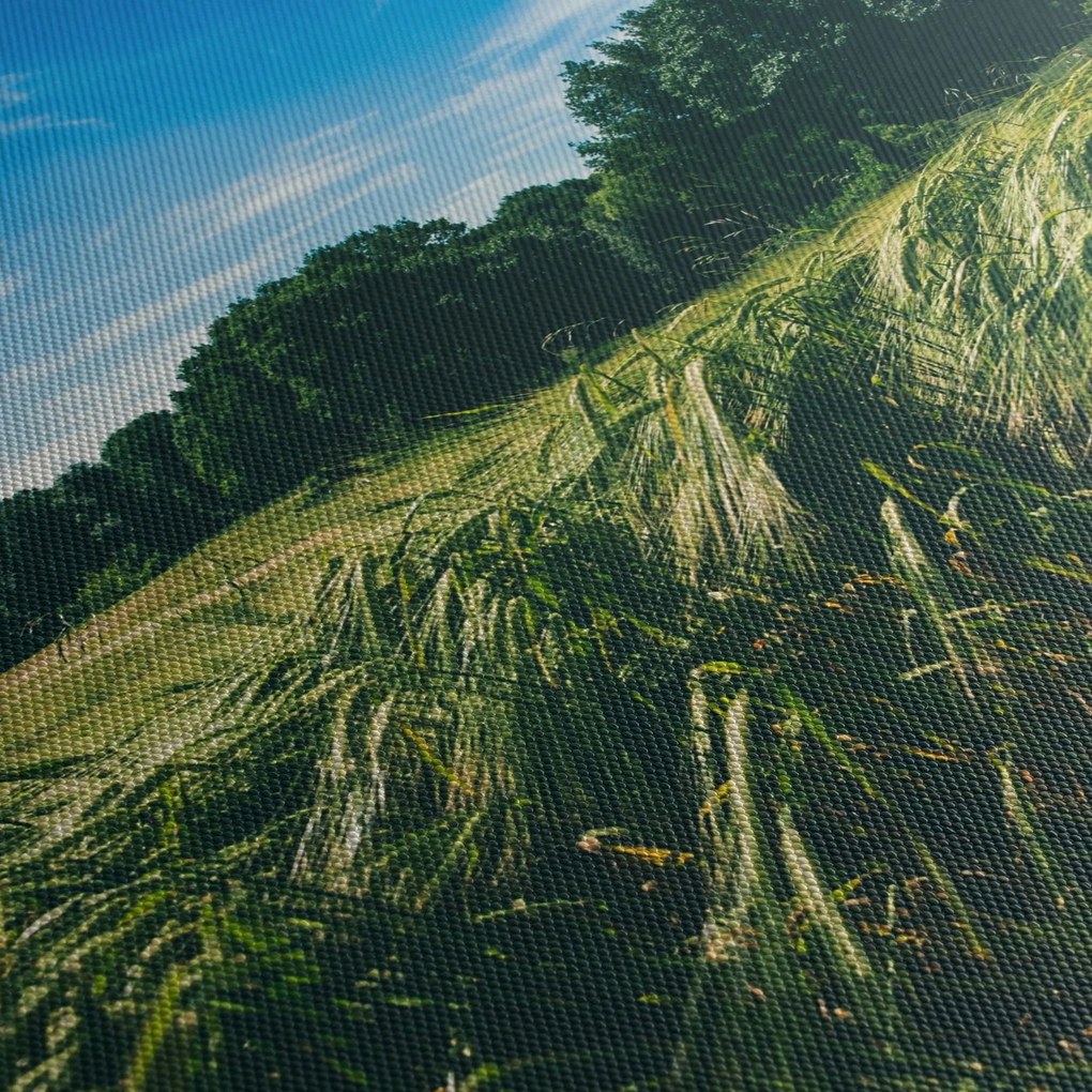 Rét és az erdő képe (150x105 cm)